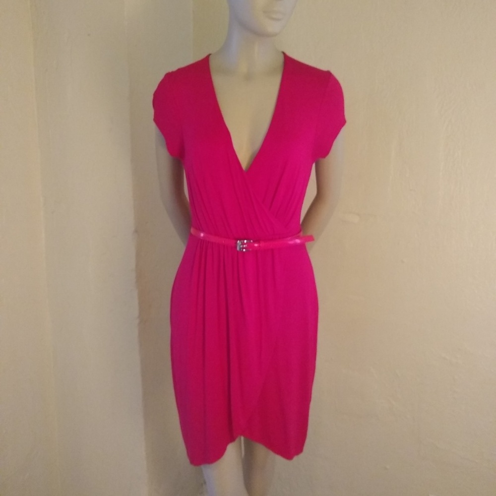 Express Pink Dress with detachable Belt; XS